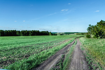 Agricultural land and landscape