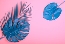 Blue Palm Leaf On Pink Background