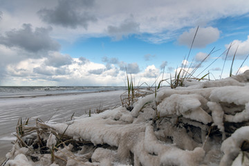 Wall Mural - Baltic sea coast in cold and snowy day.