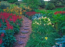 The Bog Gardens With Colourful Planting In A County House Garden In Early Summer