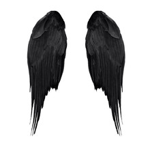 Two Real Black Angel Wings With Big Feathers Isolated On White Background