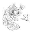 Composition with Orchids, hummingbird and palm leaves. Vector botanical illustration