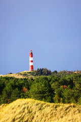 Wall Mural - A Lighthouse in the Dunes of Amrum, Germany, Europe