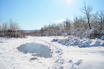  forest wild river landscape with snow at spring