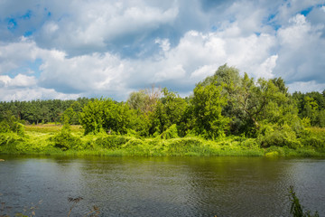 Wall Mural - Summer rural river landscape