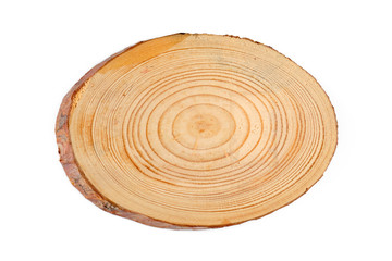 Tree trunk slice cut. Textured surface with rings and cracks, isolated on white.