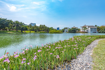 Wall Mural - Beautiful Scenery of The People's Public Park at Summer Time, Downtown Haikou City, Hainan Province, China.