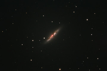 Wall Mural - The Cigar Galaxy Messier 82 in the constellation Ursa Major photographed from Mannheim in Germany.