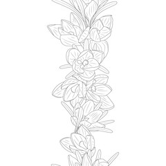 Poster - Monochrome Seamless brush with hand drawn crocus flowers. Isolated on white background. Floral endless border. Vector illustration