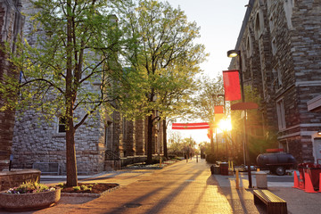 Wall Mural - Romantic sunset seen from the Street in Philadelphia