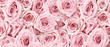 Leinwandbild Motiv Background image of pink roses. Top view of rose flowers. Studio shot of flowers.