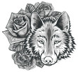 Vector illustration sketch of a wolf's face