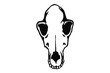 Vector hand drawn illustration animal skull. Dog. Good for posters, postcards, print for t-shirt, tattoo.