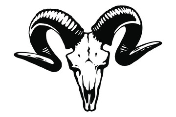 Vector hand drawn illustration animal skull. Goat. Good for posters, postcards, print for t-shirt, tattoo.