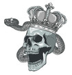 skull king with snake vector illustration design