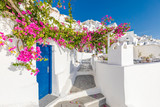 Fototapeta Uliczki - Traditional greek house with flowers in Santorini island, Greece.