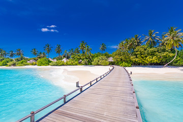 Amazing tropical landscape, beach scenery, long jetty into paradise island. Summer beach view, palm trees on white sandy beach. Tranquil tropical nature