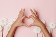 © ChesterAlive91 - Woman's hands making a heart sign, among dahlia flowers on pink background. The concept of tenderness.