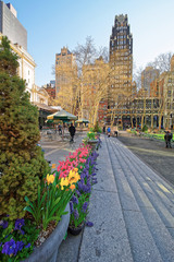 Wall Mural - Green plants in blossom and Skyscrapers in Bryant Park