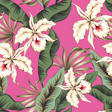 Tropical Orchid Flowers, Green Banana Palm Leaves, Pink Background. Vector Seamless Pattern. Jungle Foliage Illustration. Exotic Plants. Summer Beach Floral Design. Paradise Nature