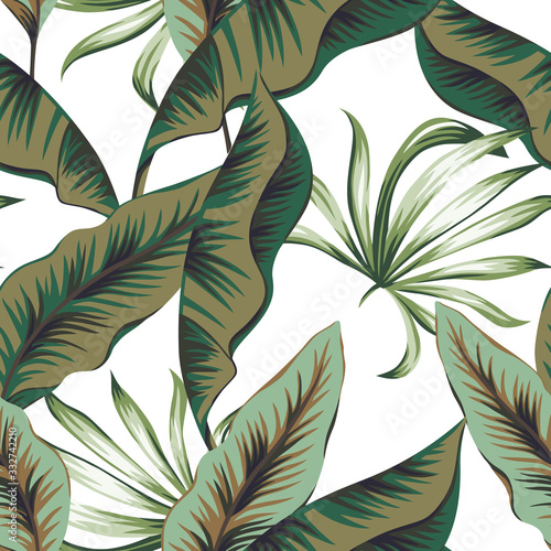 Dekoracja na wymiar  tropikalne-zielone-liscie-palmowe-bananowe-biale-tlo-wektor-wzor-graficzna-ilustracja