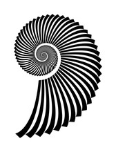 Abstract Vector Archimedean Spiral, Shell Symbol Shape On A White Background. Isolated Spiral, Template For Design, Hypnotic Effect. Eps 10