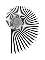 Abstract vector Archimedean spiral, shell symbol shape on a white background. Isolated spiral, template for design, hypnotic effect. Eps 10