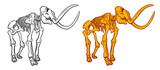 Fototapeta  - Hand Drawn line and colour Illustration of mammoth skeleton isolated on white background, Archeological discovery, paleontology symbol