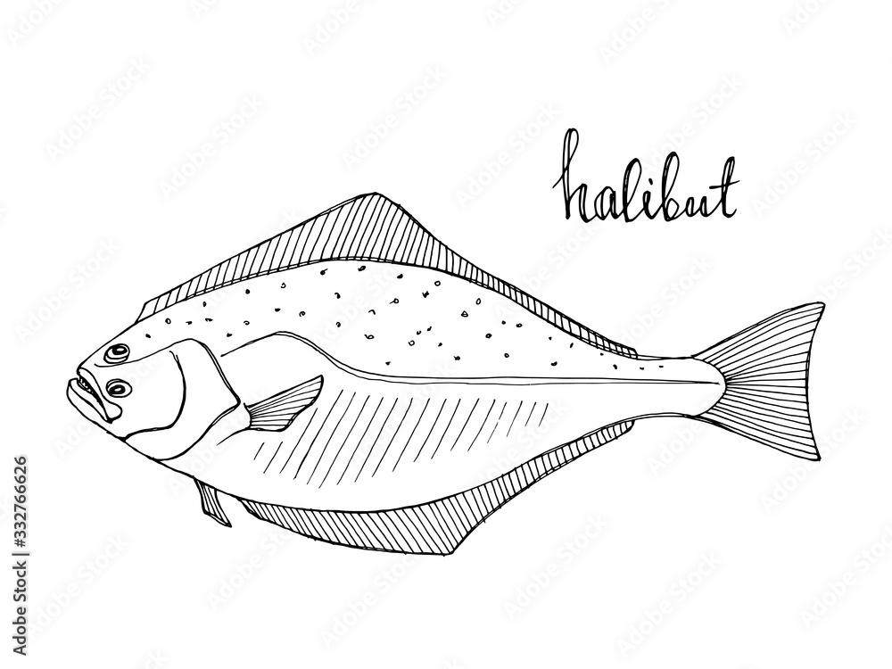 Halibut. Seafood design elements. Seafood menu, poster, label etc. Hand ...