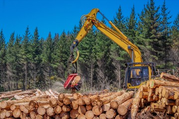 Wall Mural - Logging Equipment Forest Machine