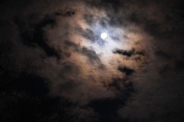 Wall Mural - moon and clouds
