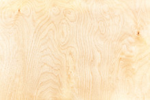 High-detailed Birch Plywood Textured Background With Natural Pattern