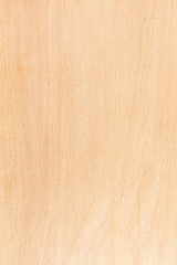 Wall Mural - beech wood natural pattern. high-detailed wood texture series