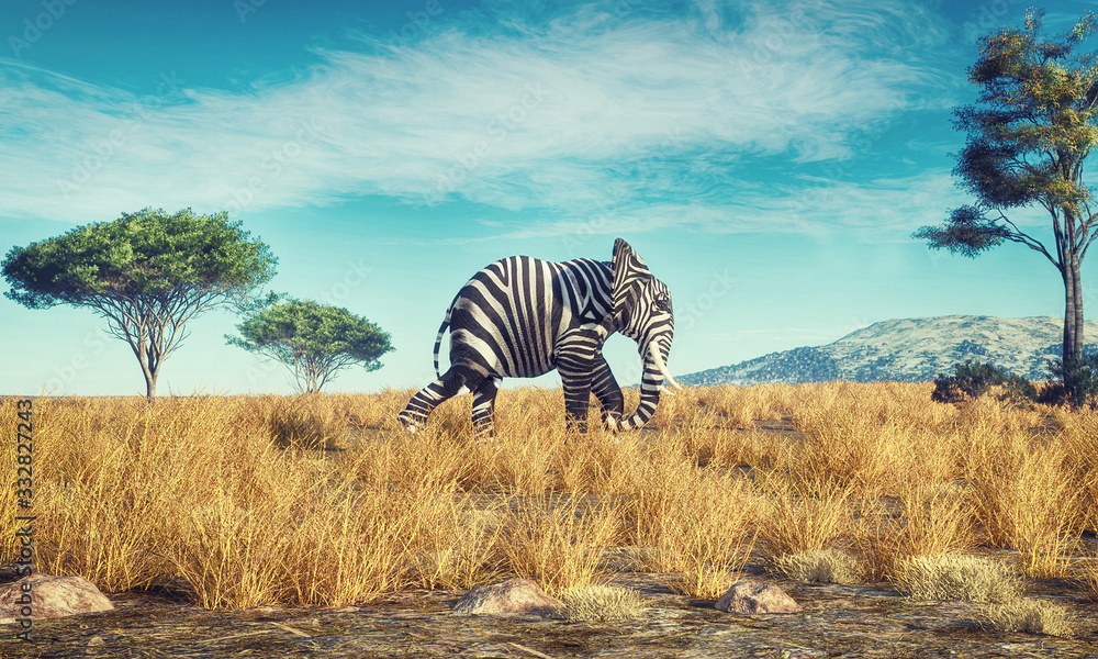 Elephant zebra different - obrazy, fototapety, plakaty 