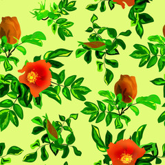 Poster - Roses flowers seamless pattern watercolor effect style