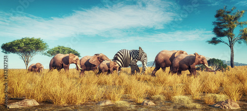 Naklejki zwierzęta  slon-zebra-inny