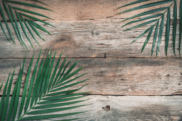 Wall Mural - Green tropical palm leaf on wooden planks background. Exotic branches over vintage texture. Top view, copy space