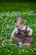 © Elena  - Charming boy among green grass and beautiful daisies on a summer day. A small child has fun in the fresh air. Baby explores the nature of
