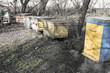 © Владислав Глебов - honey apiary, bee hive in the garden in early spring