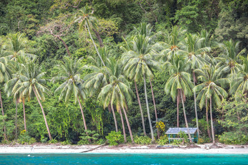 Wall Mural - Coastal Scenery of El Nido, Palawan Island, The Philippines, a Popular Tourism Destination for Summer Vacation in Southeast Asia, with Tropical Climate and Beautiful Landscape.