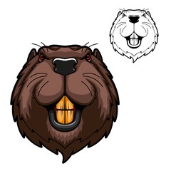 beaver animal head vector mascot of hunting and sport design. wild rodent mammal with bared teeth, r