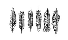 Pattern With Magic Eagle Feather In Line Art Style. Use It For Print Or Web, Package Design.