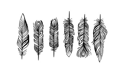 Pattern with magic eagle feather in line art style. Use it for print or web, package design.