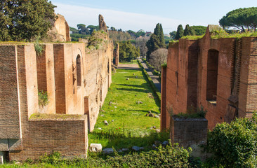 Wall Mural - Following the coronavirus outbreak, the italian Government has decided for a massive curfew, leaving even the Old Town, usually crowded, completely deserted. Here in particular the Baths of Caracalla