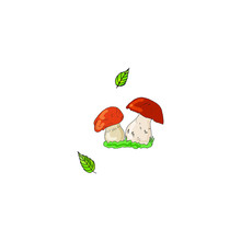 Two Fungi Grow Together In The Grass. Edible Mushrooms Are Ready For Harvest. Isolated Vector Illustration Hand-drawn On A White Background. Natural Elements For Food.