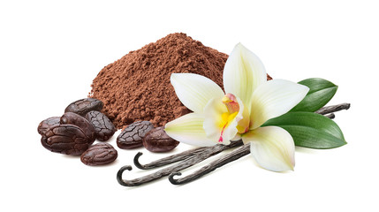 Wall Mural - Cocoa powder, roasted beans and vanilla with flower isolated on white background