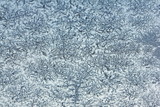 Fototapeta Desenie - White hoarfrost crystals close up background texture on glass