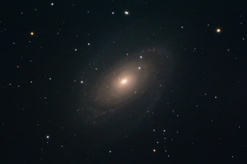 Wall Mural - The Bode's Galaxy Messier 81 in the constellation Ursa Major photographed from Mannheim in Germany.