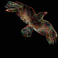 Wall Mural - silhouette of an eagle bird with multicolored luminous lines on a black background