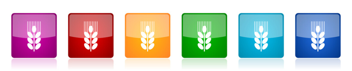 Aufkleber - Grain icon set, colorful square glossy vector illustrations in 6 options for web design and mobile applications
